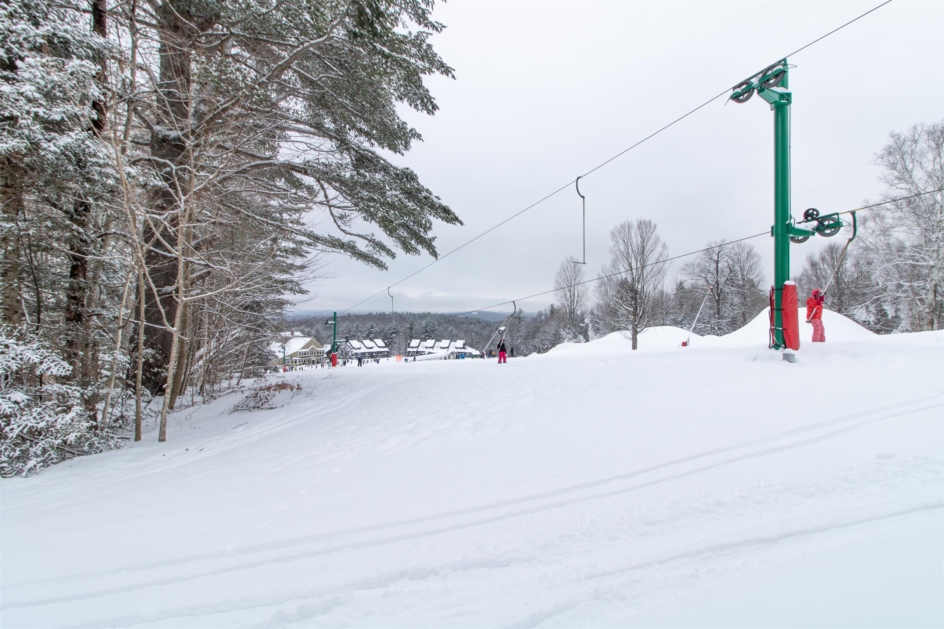 203 Powderhorn Road, Unit 1001 Burke, VT 05832 - Photo 46 of 49
