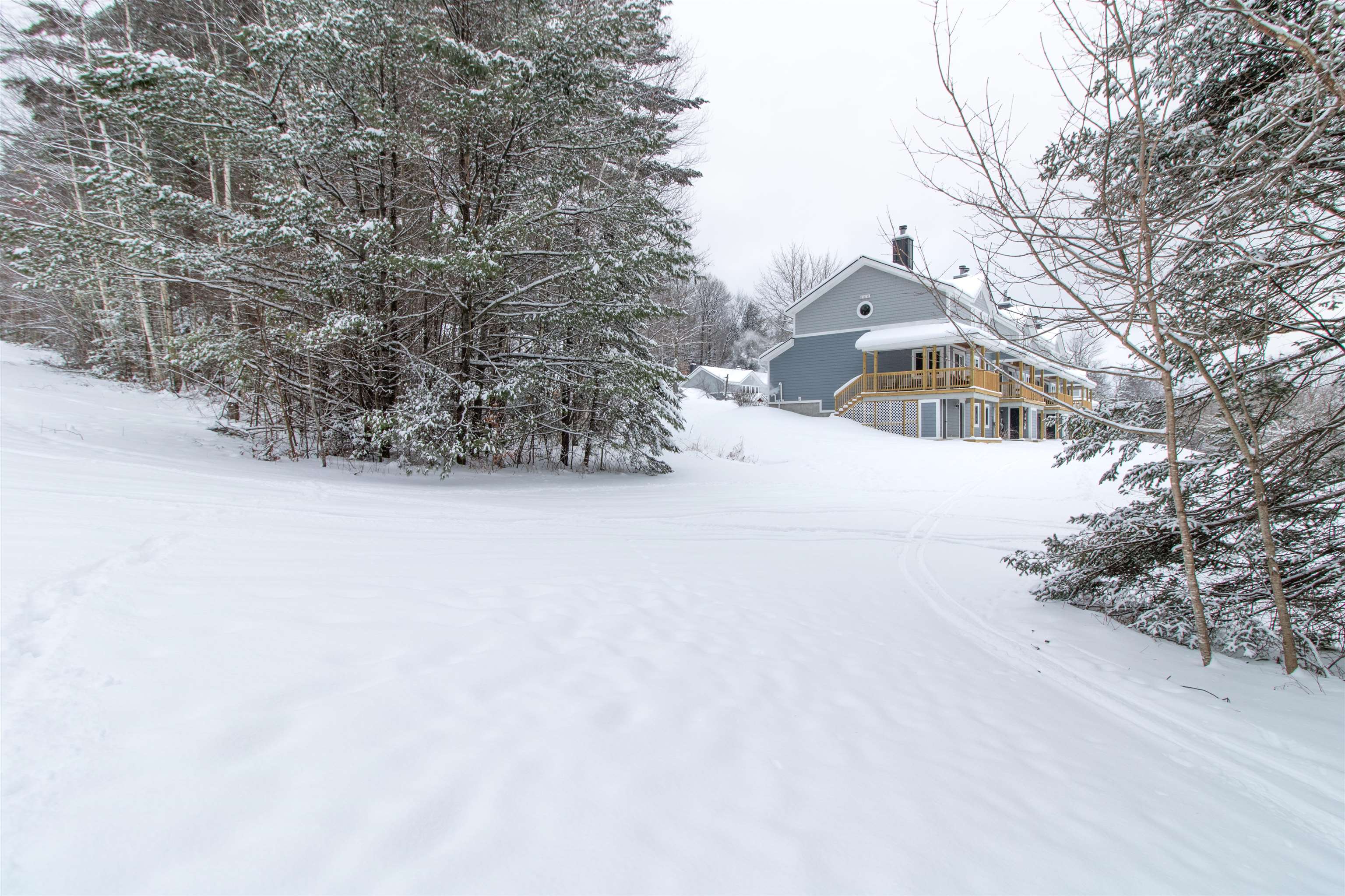 203 Powderhorn Road, Unit 1001 Burke, VT 05832 - Photo 47 of 49