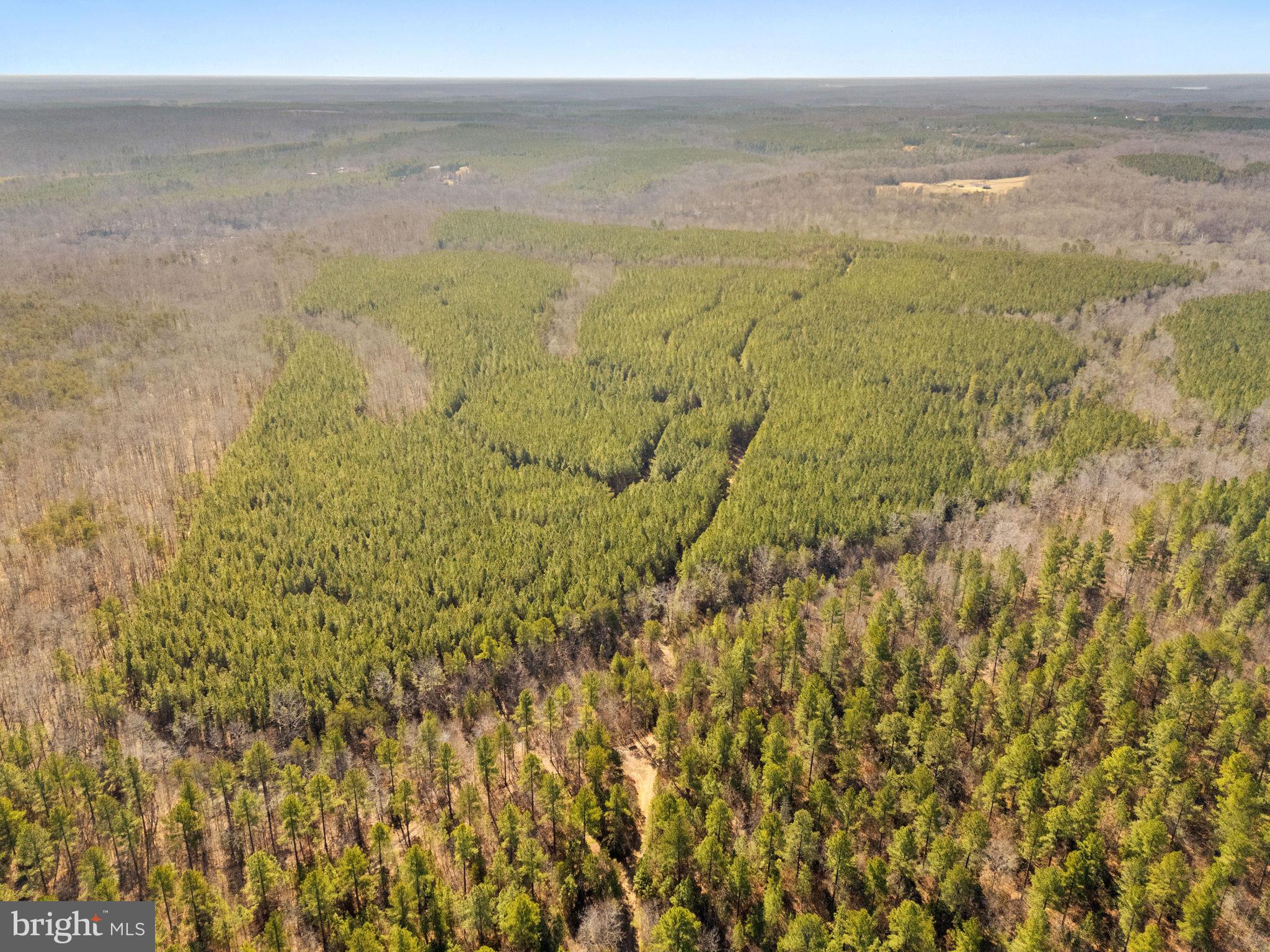 Snake Castle Road Sumerduck, VA 22742 - Photo 8 of 11 a view of an ocean from a yard