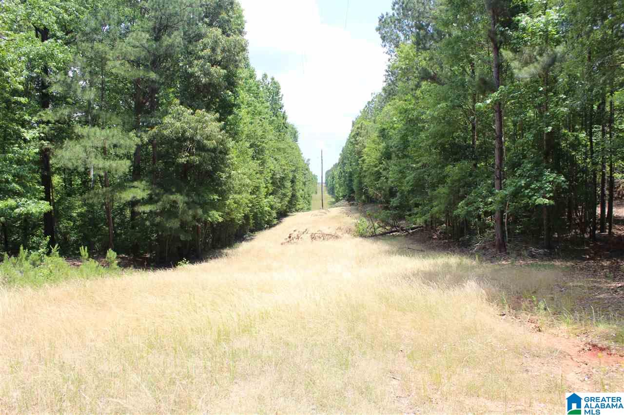1652 County Road 101 Kellyton, AL 35089 - Photo 18 of 28