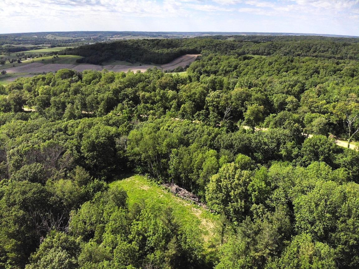9494 South Lost Horizon Road Hanover, IL 61041 - Photo 8 of 26 a view of a lush green forest with an outdoor seating