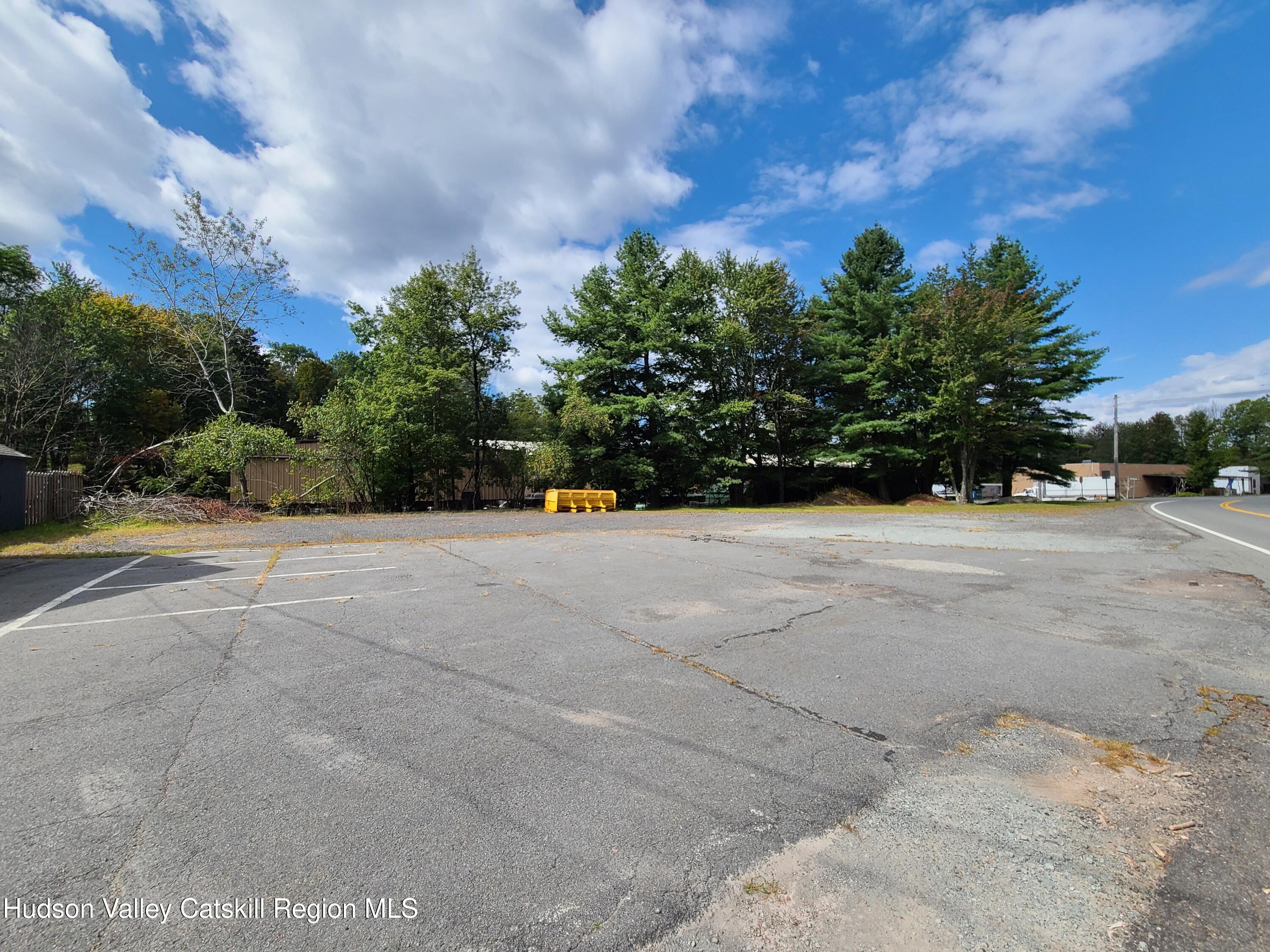 36 Cold Spring Road Monticello, NY 12701 - Photo 10 of 35 a view of patio with a yard