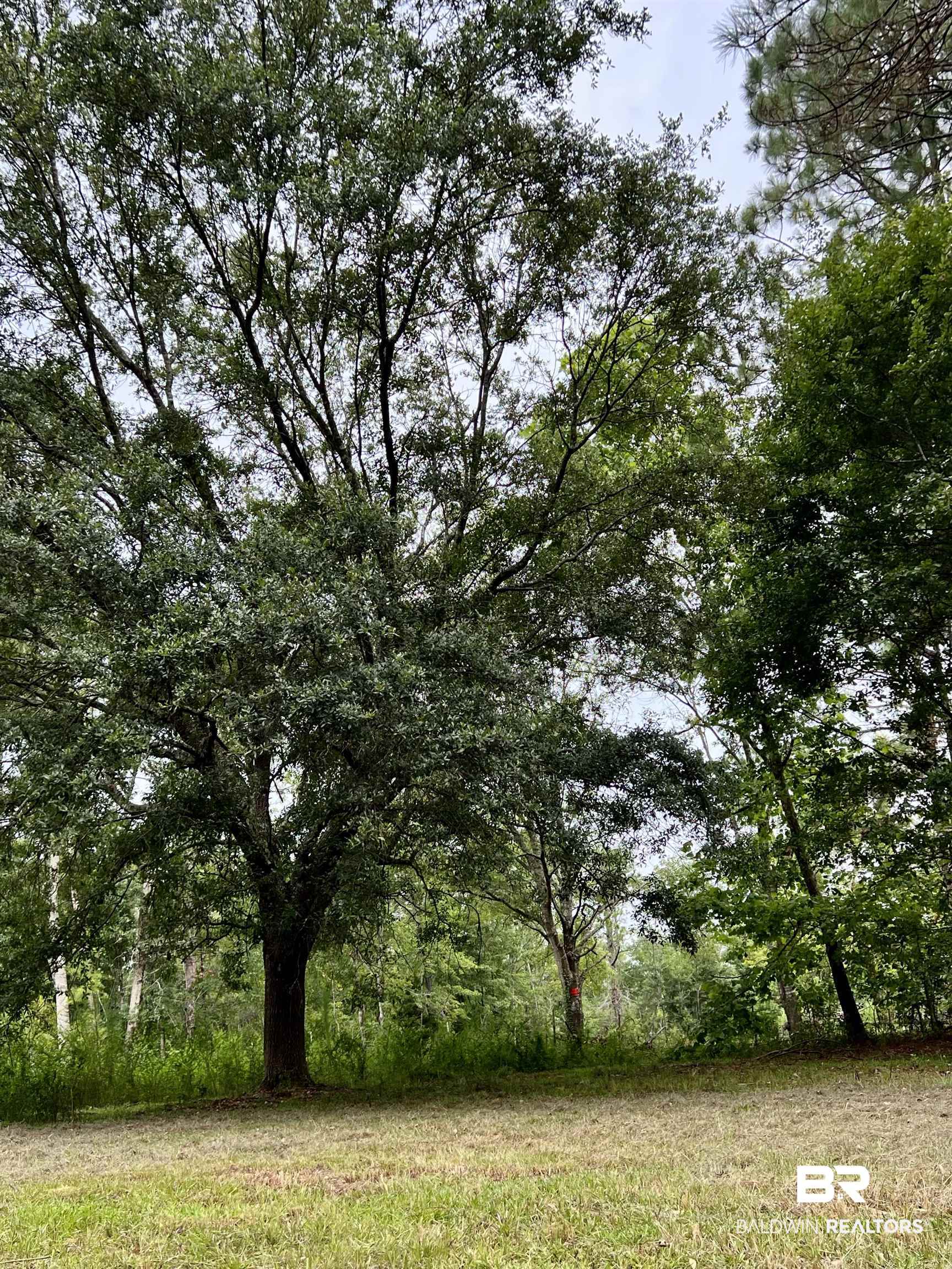 9851 B Wilson Road Elberta, AL 36530 - Photo 5 of 7