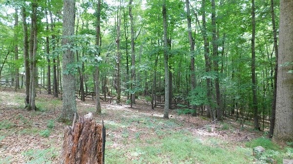 1554 Union Church Road Ferrum, VA 24088 - Photo 18 of 33 Gallery Image 18