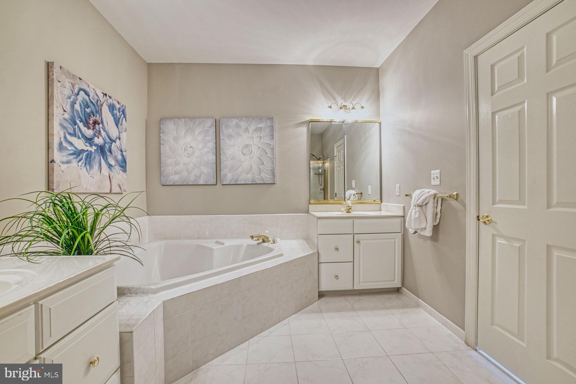 20052 Valhalla Square Ashburn, VA 20147 - Photo 13 of 30 MASTER BATHROOM W SOAKING TUB & SEPARATE SHOWER