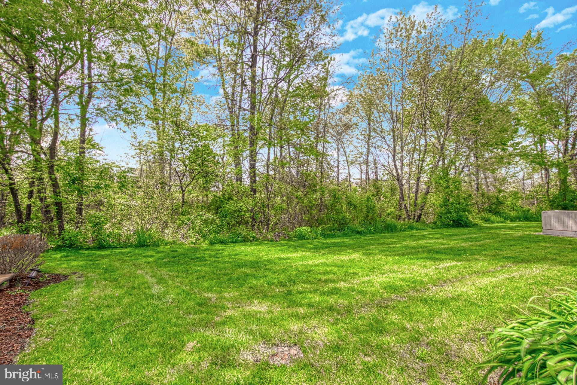 20052 Valhalla Square Ashburn, VA 20147 - Photo 25 of 30 NO-MAINTENANCE YARD