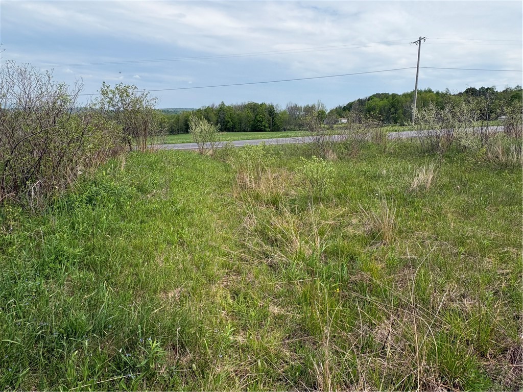 Wahlberg Road Guilford, NY 13780 - Photo 15 of 25