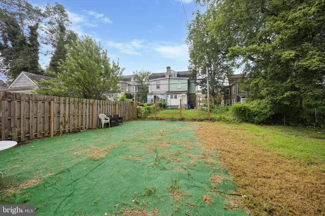 a view of a yard with a large trees