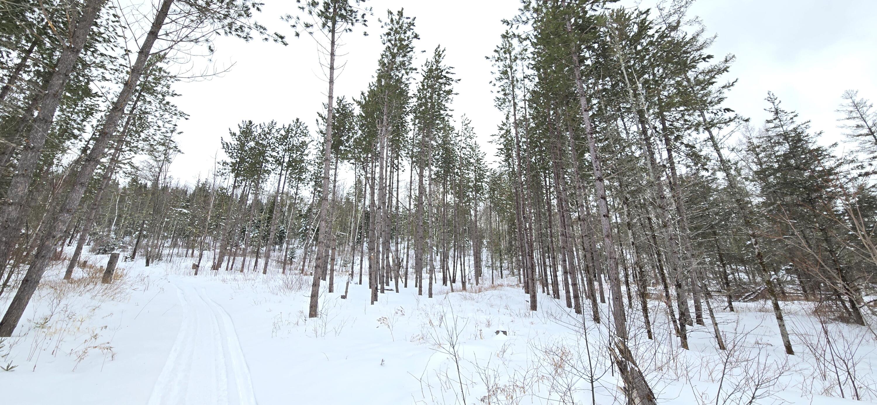 Map31 Map31 Lot12 St. David, ME 04773 - Photo 13 of 35 20260404_142512