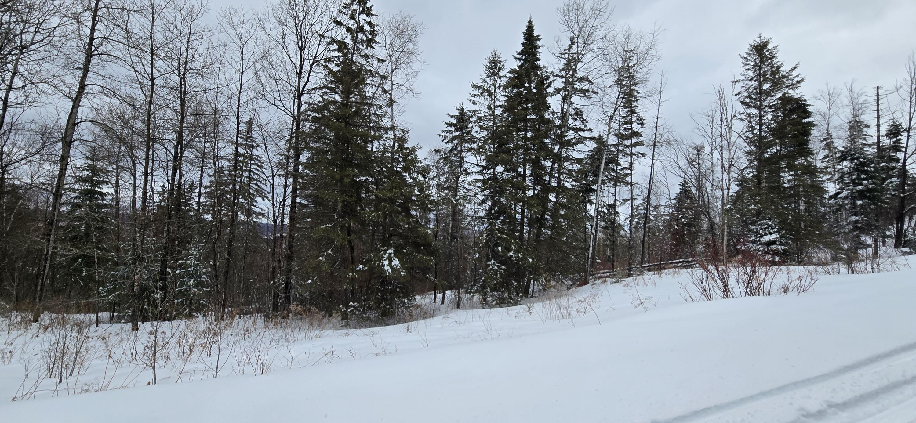 Map31 Map31 Lot12 St. David, ME 04773 - Photo 18 of 35 20260404_140908