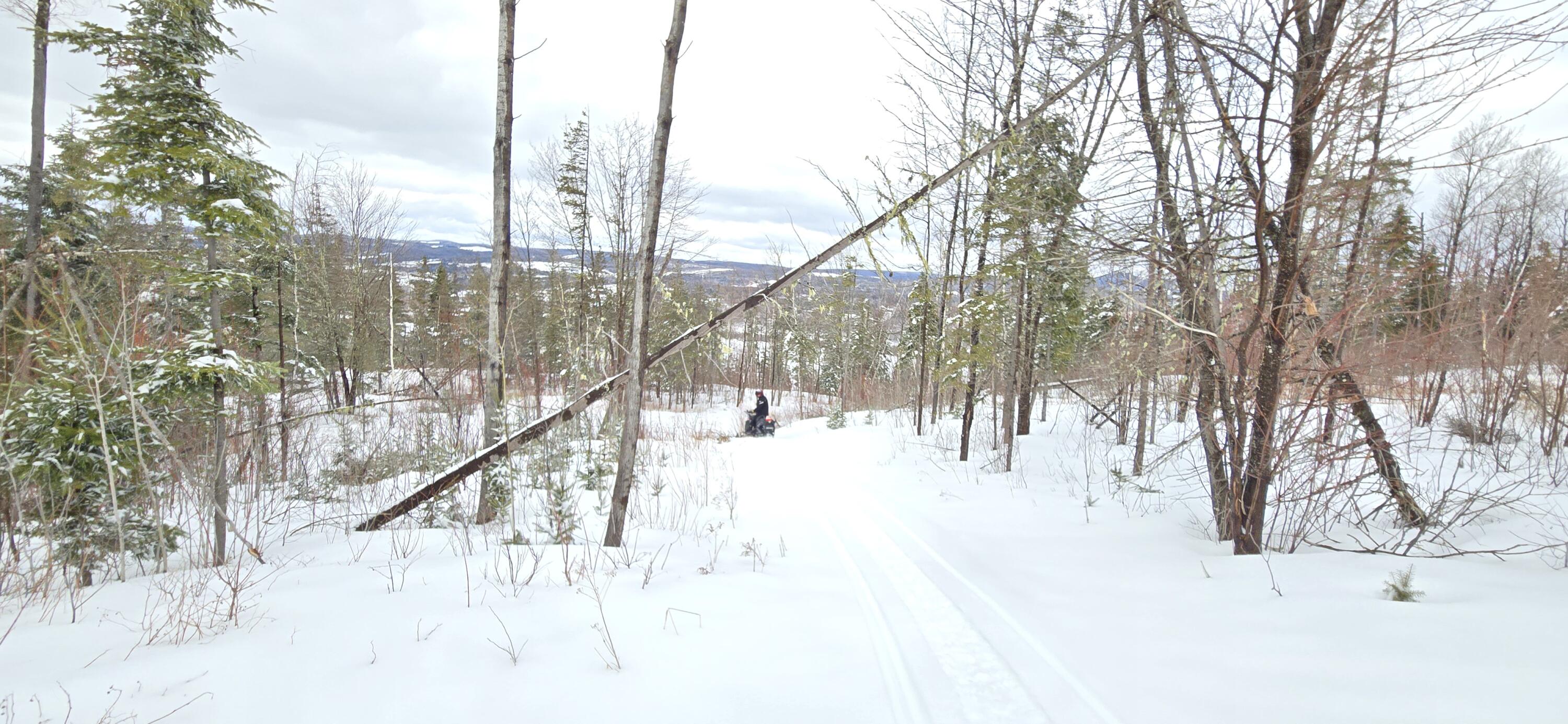 Map31 Map31 Lot12 St. David, ME 04773 - Photo 20 of 35 20260404_142334