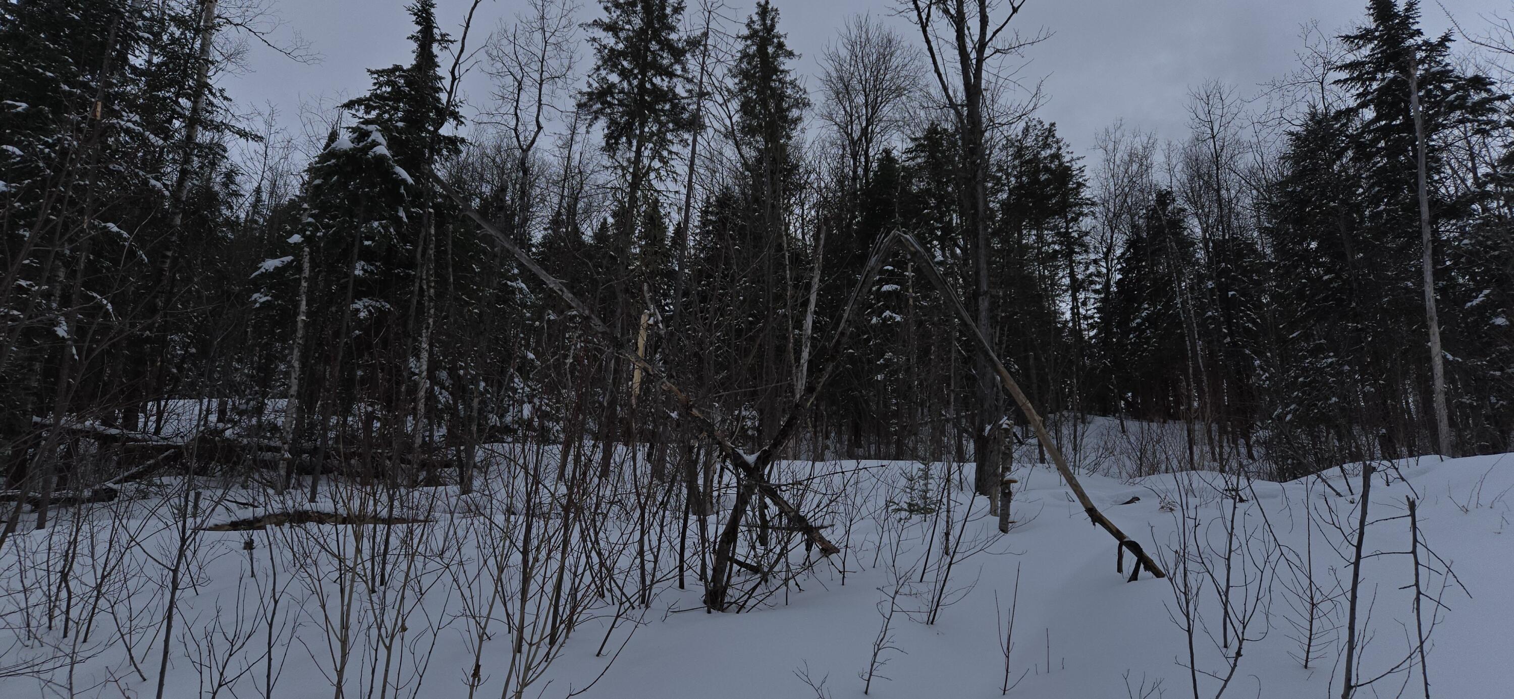 Map31 Map31 Lot12 St. David, ME 04773 - Photo 22 of 35 20260404_142425