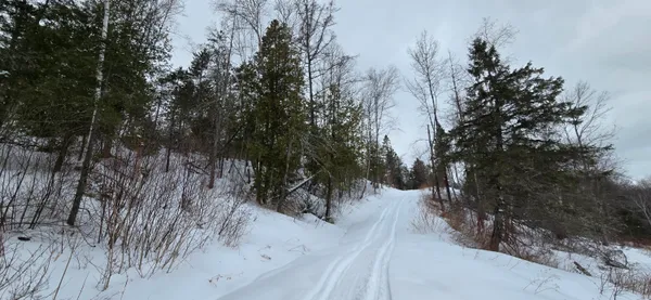 $79,000 | Map31 Map31 Lot12, St. David, ME 04773