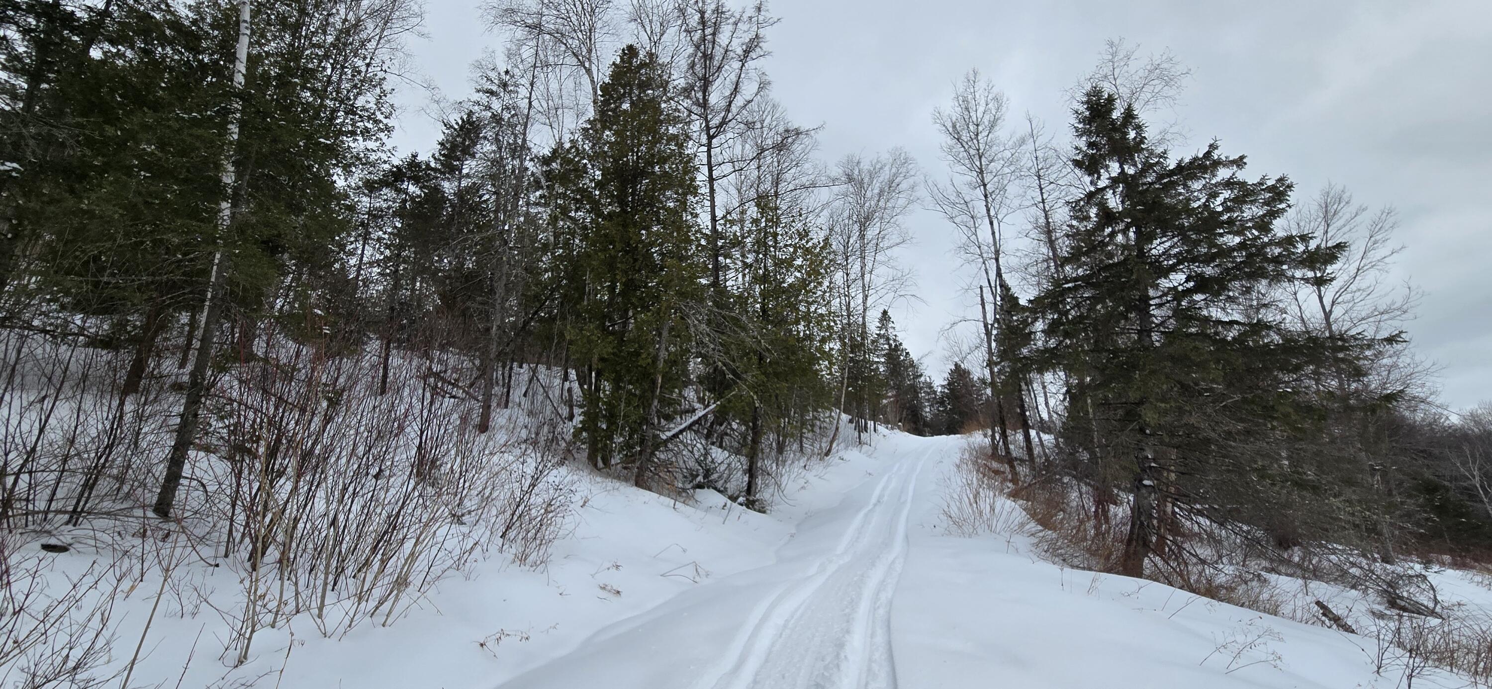 Map31 Map31 Lot12 St. David, ME 04773 - Photo 23 of 35 20260404_142548