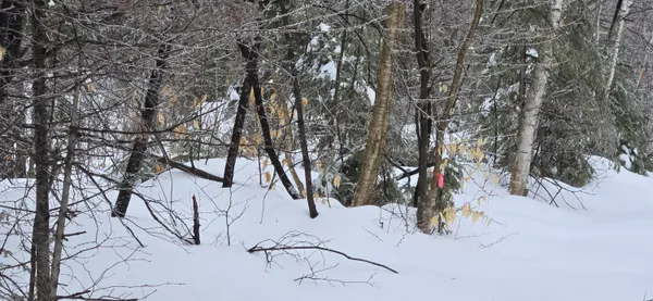 $79,000 | Map31 Map31 Lot12, St. David, ME 04773