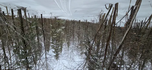 $79,000 | Map31 Map31 Lot12, St. David, ME 04773