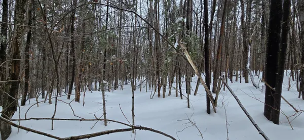 $79,000 | Map31 Map31 Lot12, St. David, ME 04773