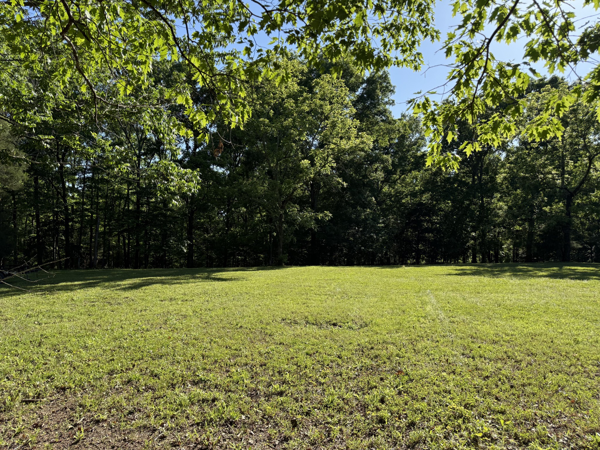 0 Poplar Grove Road McEwen, TN 37101 - Photo 39 of 51 Gallery Image 39
