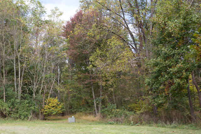 10453 Allman Road Dayton, VA 22821 - Photo 1 of 9 a view of a yard