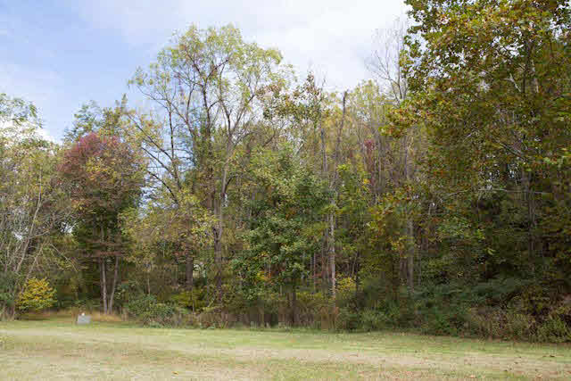 10453 Allman Road Dayton, VA 22821 - Photo 3 of 9 a view of a yard with trees