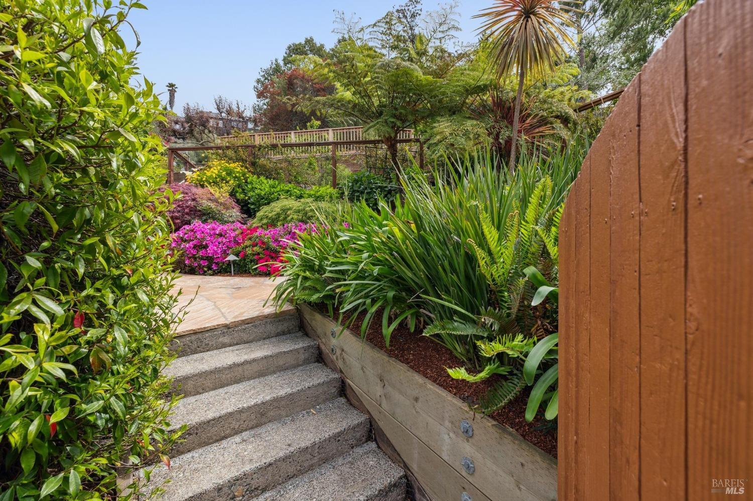 533 Pine Crest Road Mill Valley, CA 94941 - Photo 4 of 99