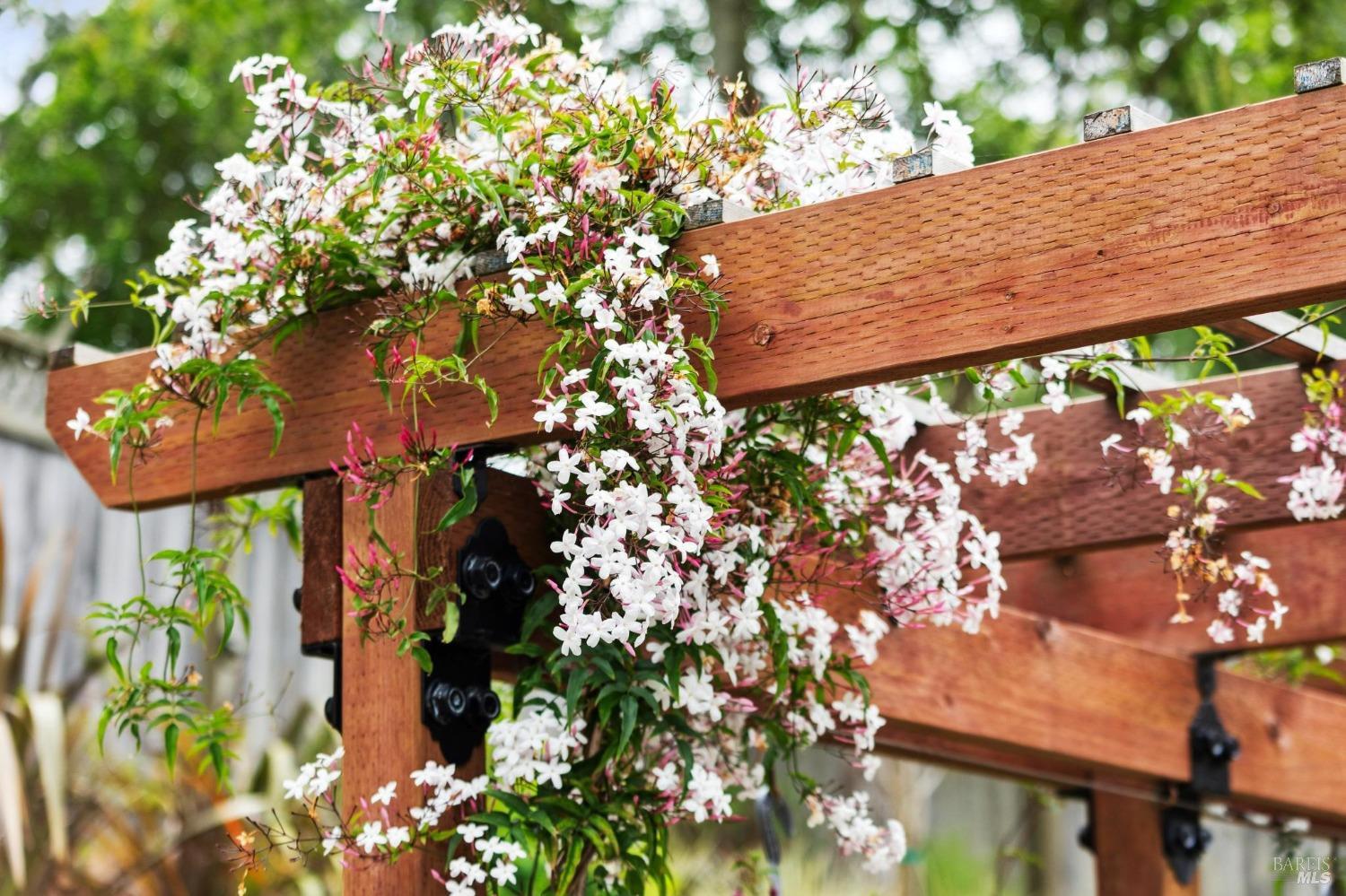 533 Pine Crest Road Mill Valley, CA 94941 - Photo 74 of 99