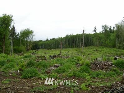 L12 Wells Road Pe Ell, WA 98572 - Photo 1 of 1