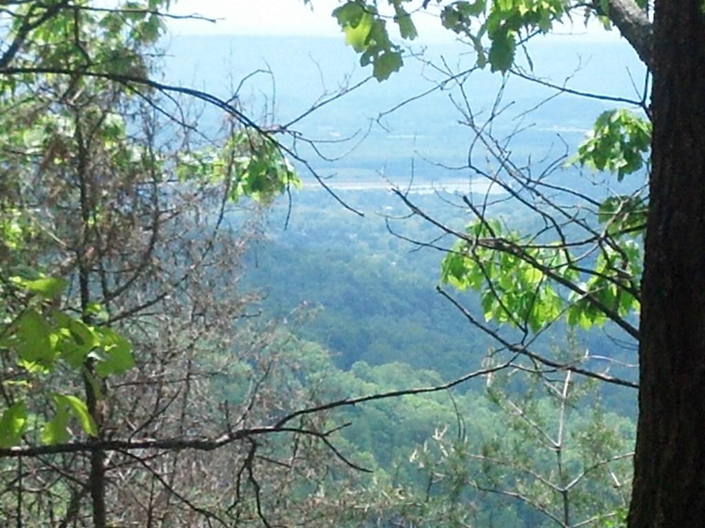 0 Sequatchie Mountain Road Sequatchie, TN 37374 - Photo 3 of 28 20160201175114250366000000-o