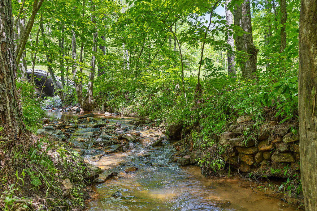 Lot 331 Twisted Oak Road Talking Rock, GA 30175 - Photo 14 of 38 Gallery Image 14