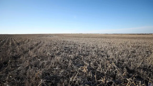 $299,897 | 1400-blk Barn Road, Solomon, KS 67480