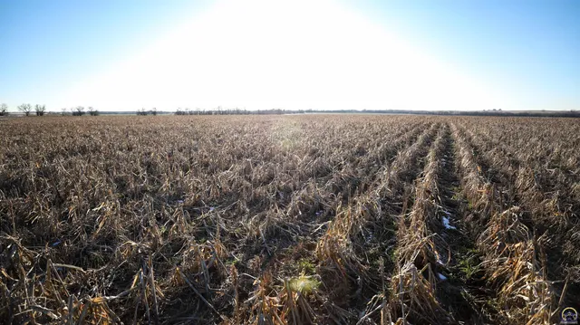 $299,897 | 1400-blk Barn Road, Solomon, KS 67480