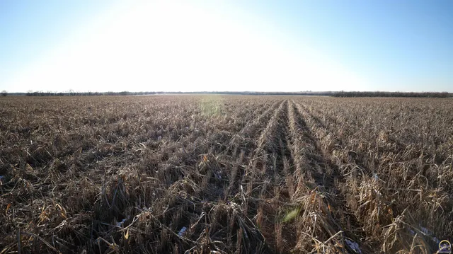 $299,897 | 1400-blk Barn Road, Solomon, KS 67480