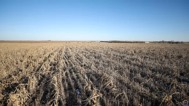 $299,897 | 1400-blk Barn Road, Solomon, KS 67480