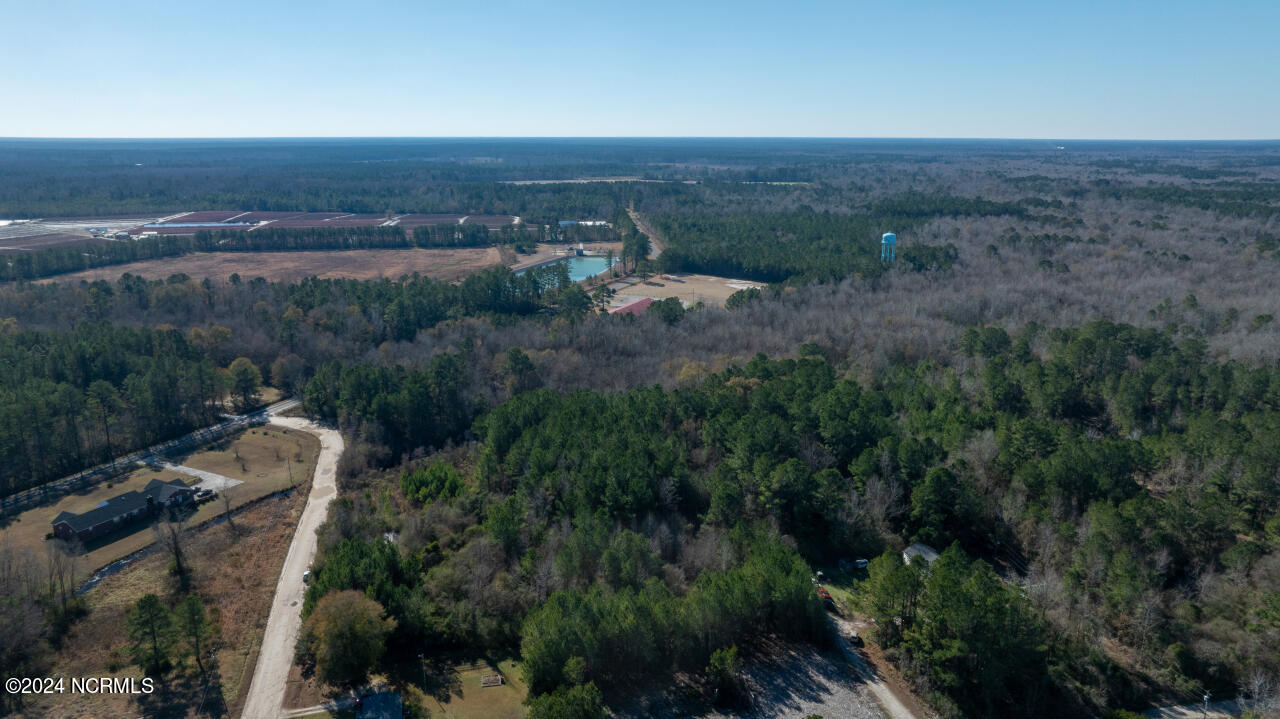 91 Rockfish Lake Road Maple Hill, NC 28454 - Photo 26 of 69 26