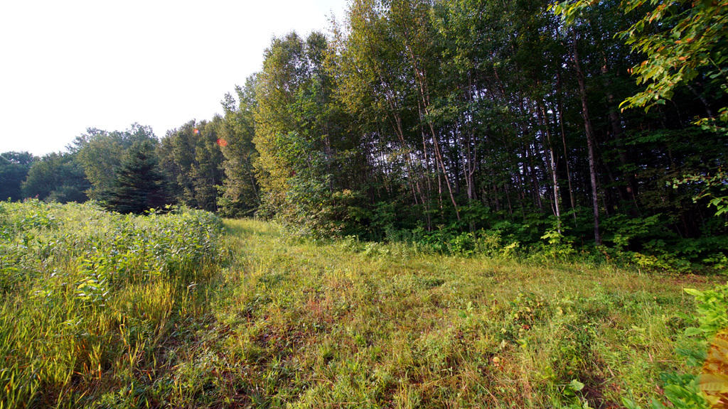Lot 9-1 New Limerick Road Houlton, ME 04730 - Photo 29 of 40 leisner-maine-land-18