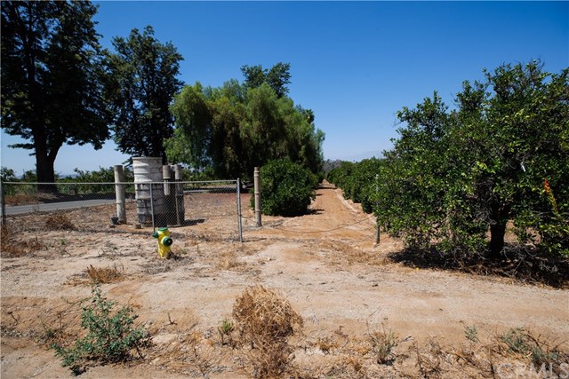 10301 Cleveland Avenue Riverside, CA 92503 - Photo 8 of 11