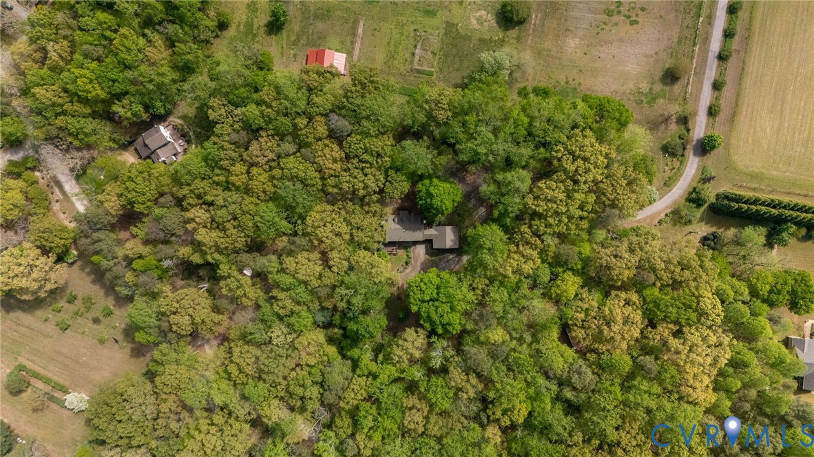 7381 McClellan Road Mechanicsville, VA 23111 - Photo 20 of 66 Expansive wooded acreage featuring a single-story
