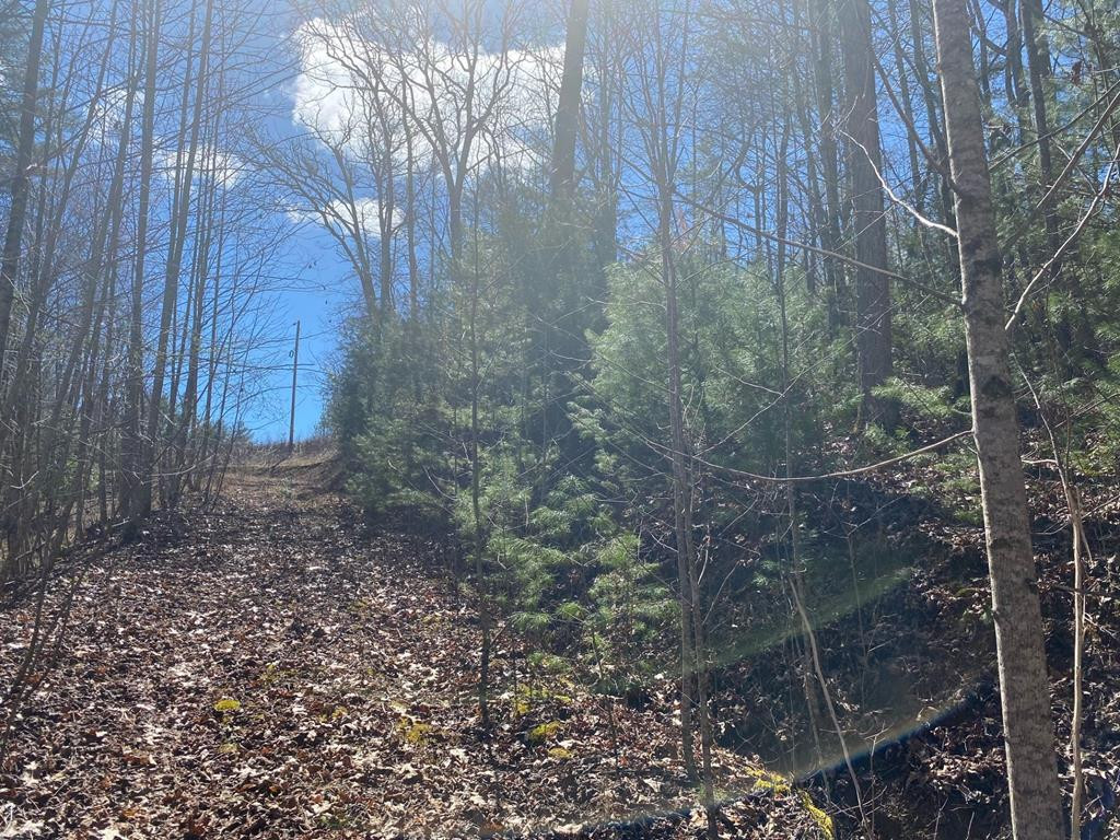 Lot 17 Appalachian Estates Road Murphy, NC 28906 - Photo 16 of 17