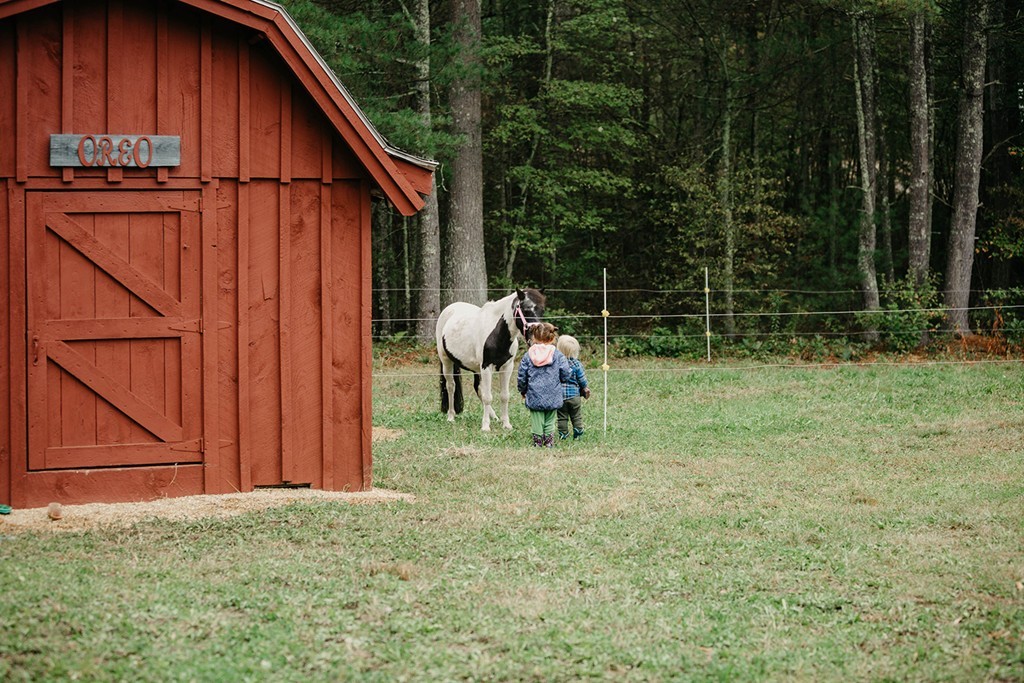 3518 Greenwich Road Hardwick, MA 01082 - Photo 27 of 30