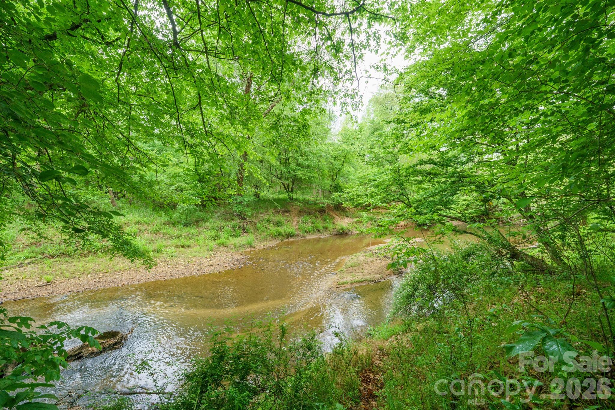 2517 Horseshoe Road Westfield, NC 27053 - Photo 35 of 45