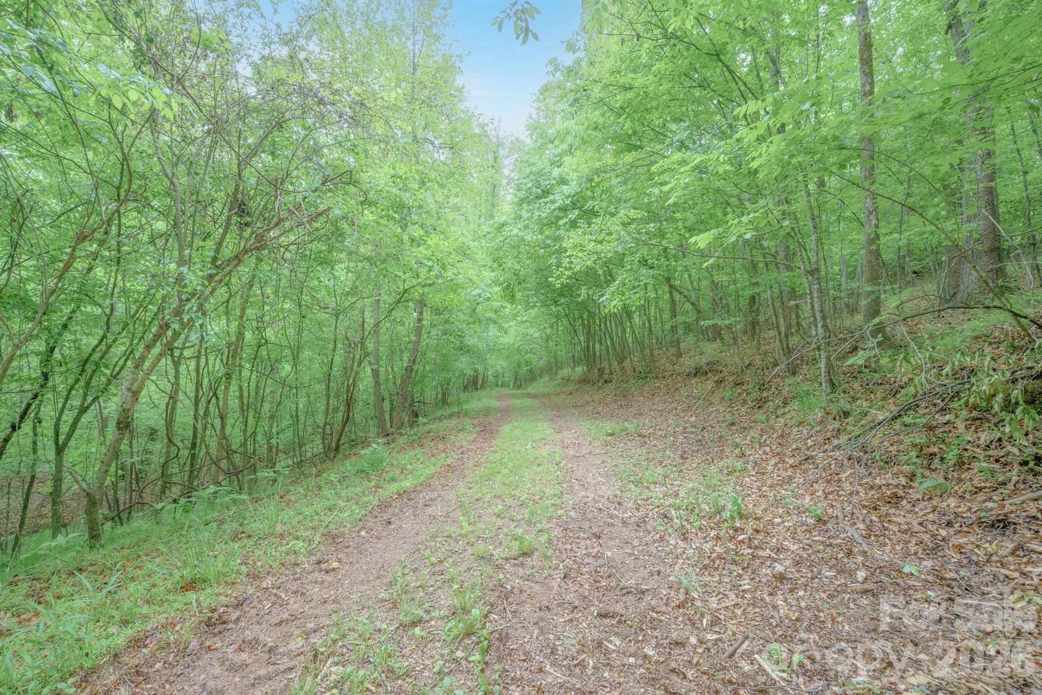 2517 Horseshoe Road Westfield, NC 27053 - Photo 40 of 45