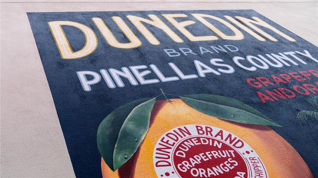 3301 Alt 19 Palm Harbor, Unit 317 Palm Harbor, FL 34683 - Photo 3 of 48