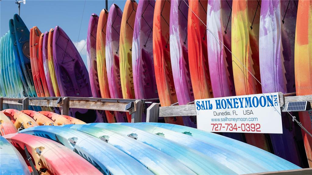 3301 Alt 19 Palm Harbor, Unit 317 Palm Harbor, FL 34683 - Photo 5 of 48 a view of a bedroom with a bed and a window