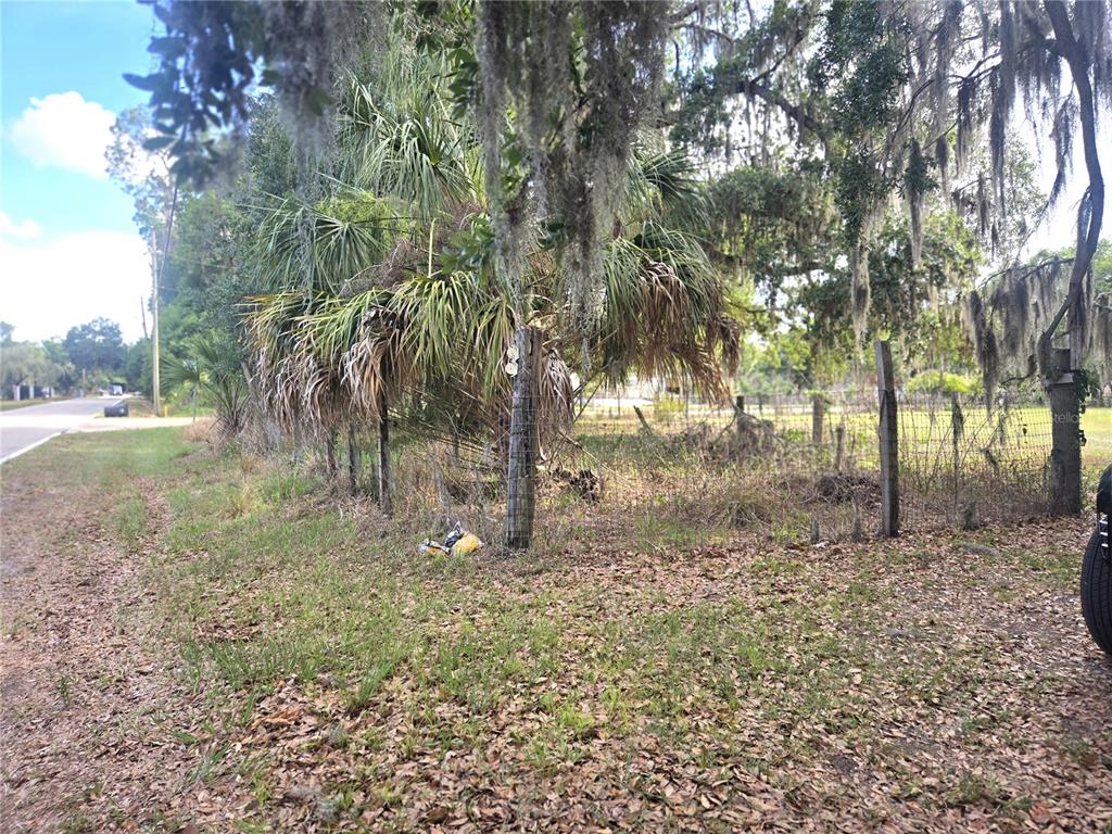 1124 Jerry Smith Road Dover, FL 33527 - Photo 19 of 20