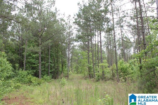 Bill Price Road, Unit 78 Dadeville, AL 36853 - Photo 6 of 7