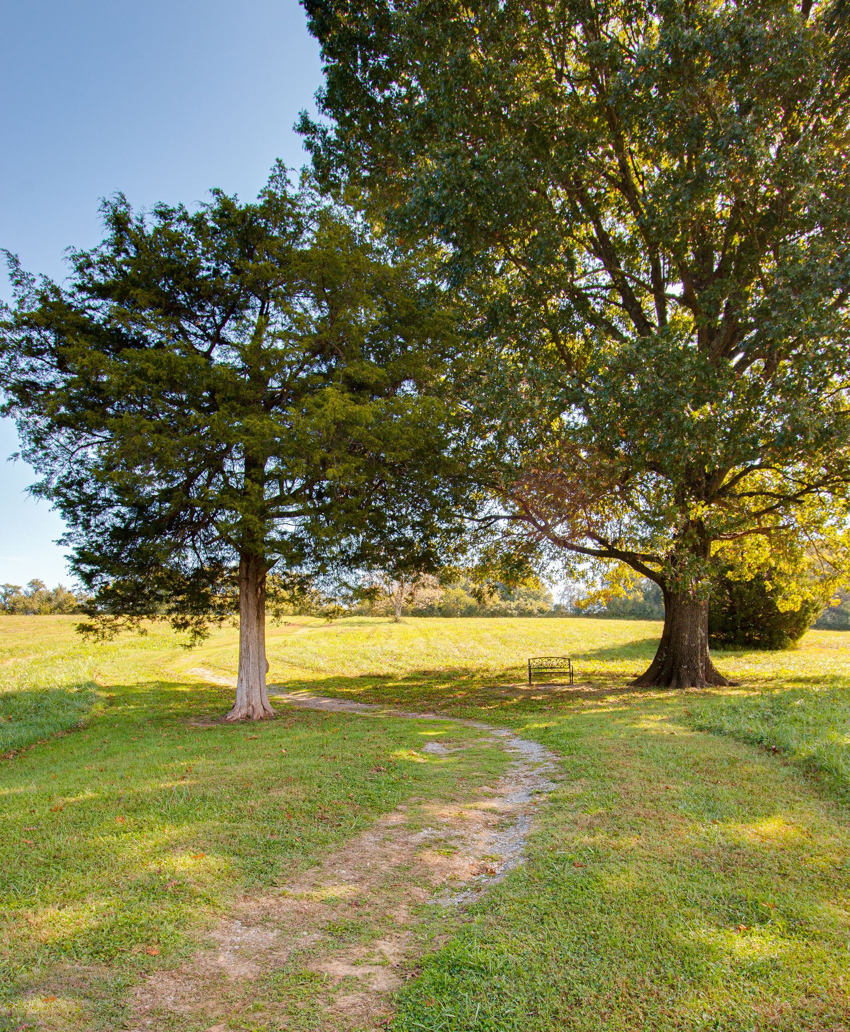 220 Chester Stevens Road Franklin, TN 37067 - Photo 48 of 48 Gallery Image 48