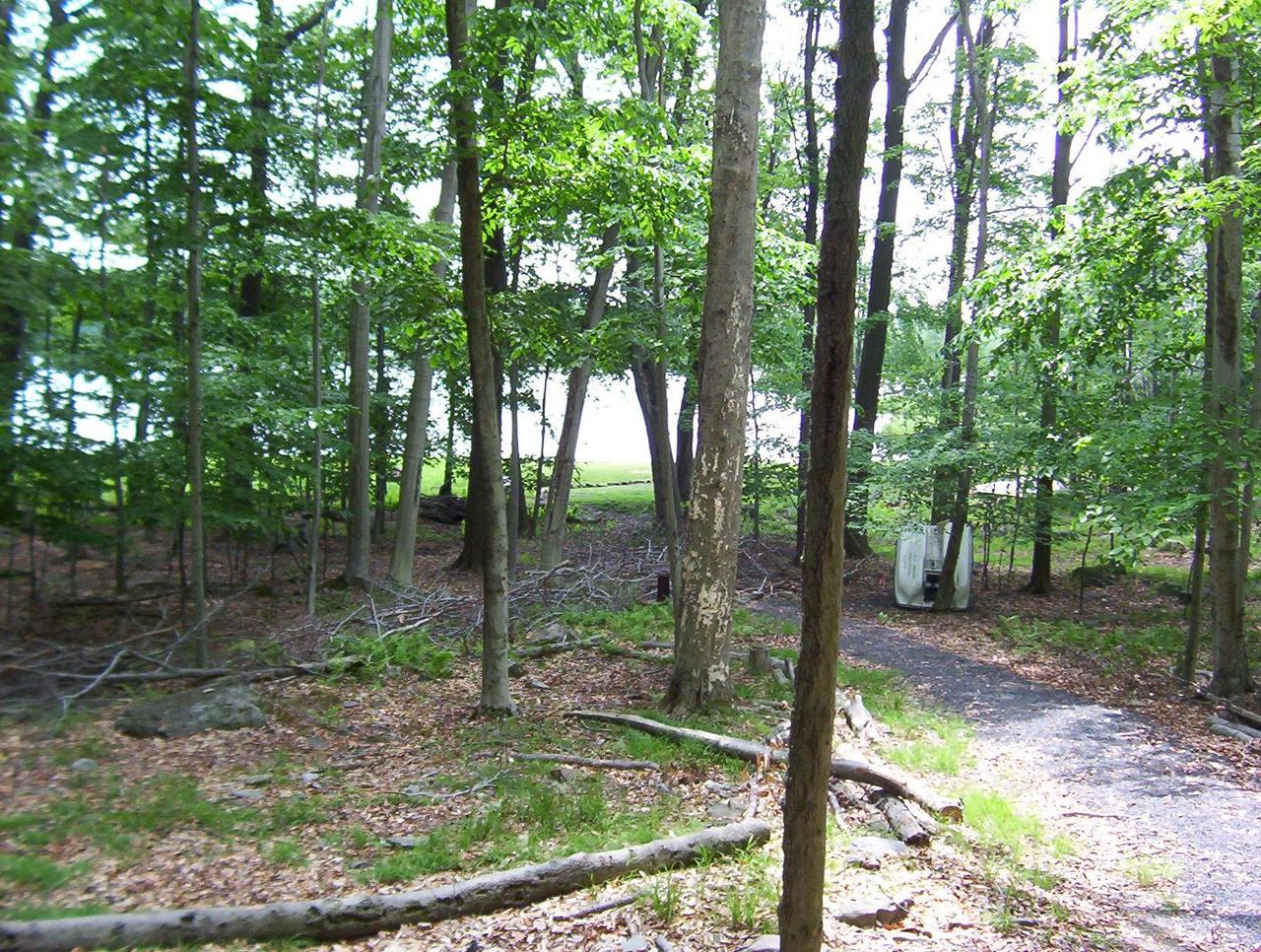 901 Selig Road Pocono Lake, PA 18347 - Photo 8 of 8 View Lot