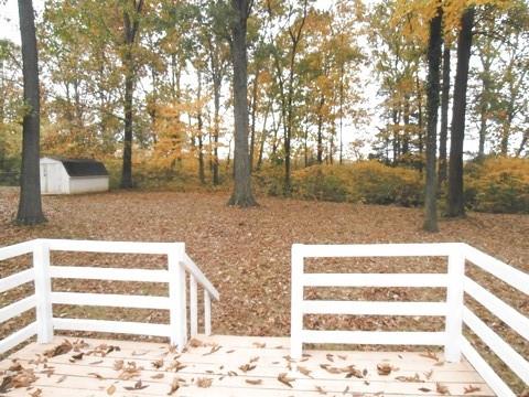 157 Deer Point Road Unionville, TN 37180 - Photo 13 of 14 Back yard