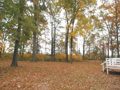 157 Deer Point Road Unionville, TN 37180 - Photo 14 of 14 Large Lot