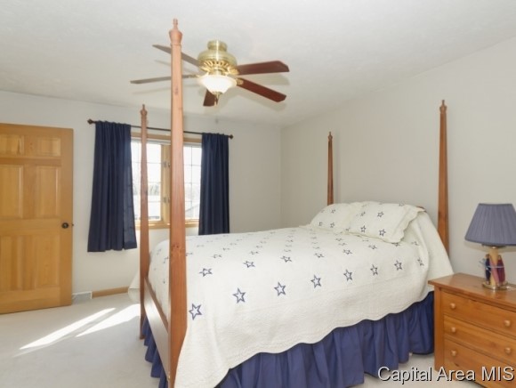 17 Spring Street Riverton, IL 62561 - Photo 12 of 24 Gallery Image 12